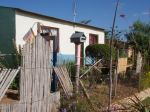 safrica10_image82.jpg